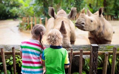 Back view of two kids observing the rhinos at the zoo