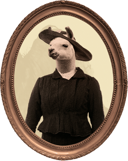 A portrait of an elegant llama 