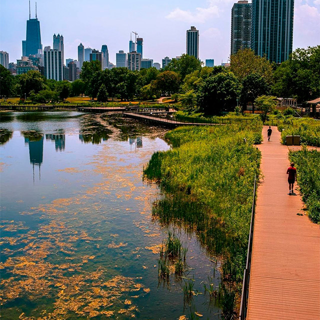 View of a beautiful lake next to a big park at Chicago city