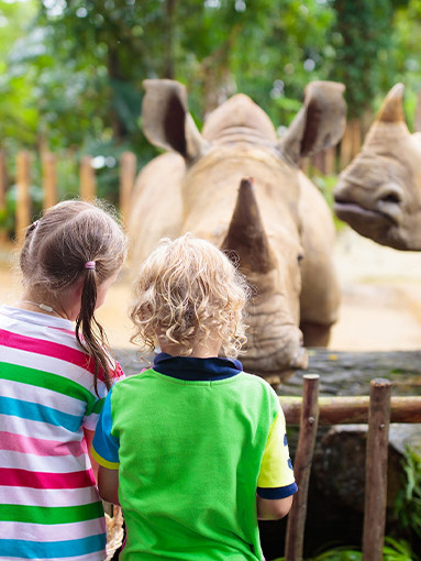 Back view of two kids observing the Rhinos at the zoo