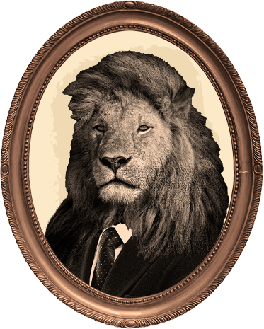 View of a lion frame 