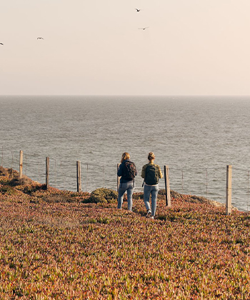 Two people hiking the coast
