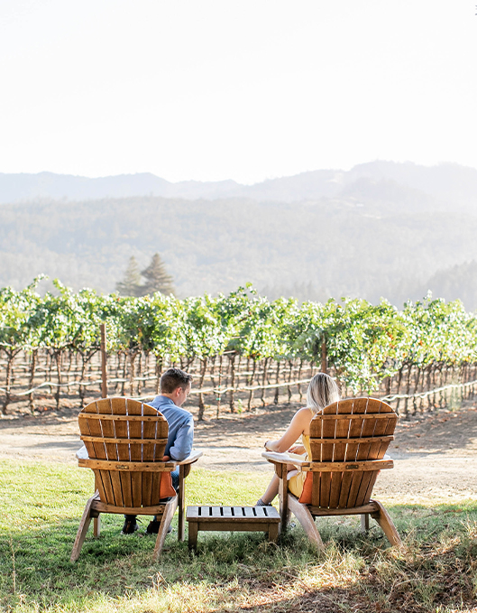 Two people sitting in front of a vineyard