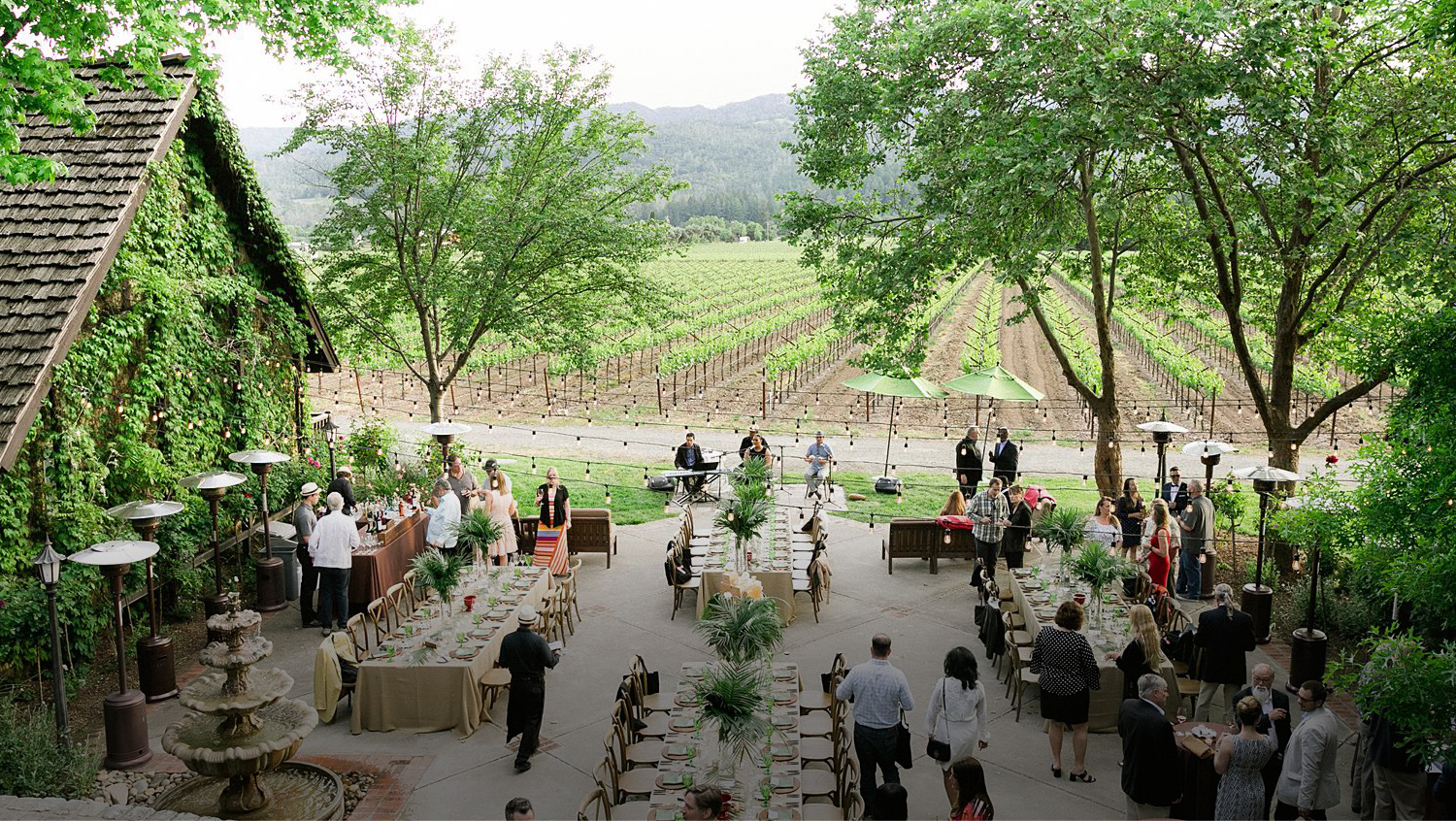 Aerial shot of a big dining area next to a vineyard