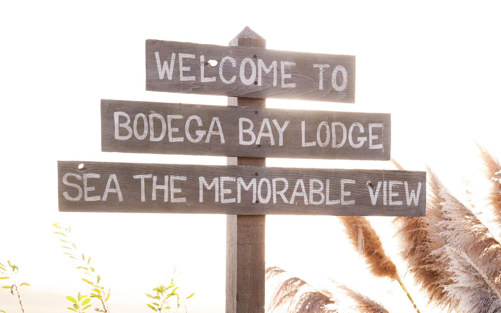 View of the bodega bay sign at the beach