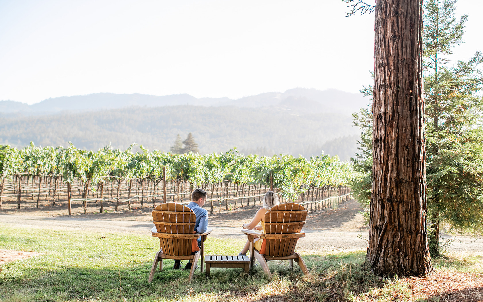 Back view of a couple looking at a vineyard and drinking wine