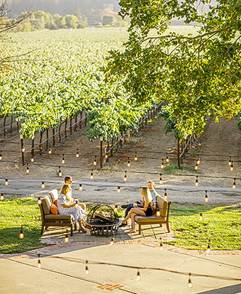 Aerial view of a group of friends having fun at a vineyard