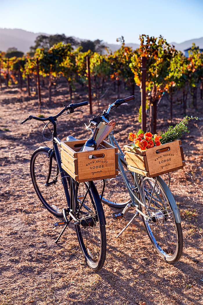 View of two bicycles at a big vineyard 