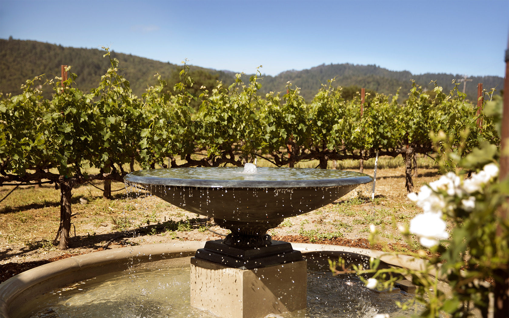 View of a Fountain near to the vineyard