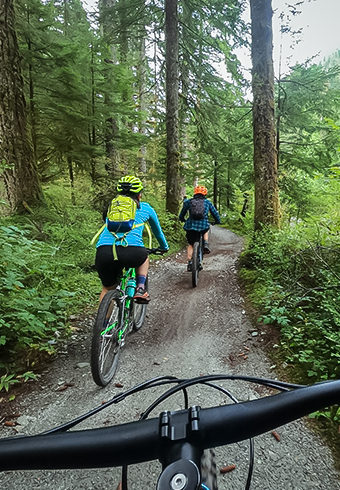 View of three people riding bikes at the forrest