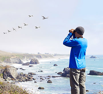 The Birds of Bodega Bay Package