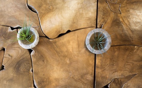 detailed shot of plants lying on a wooden table