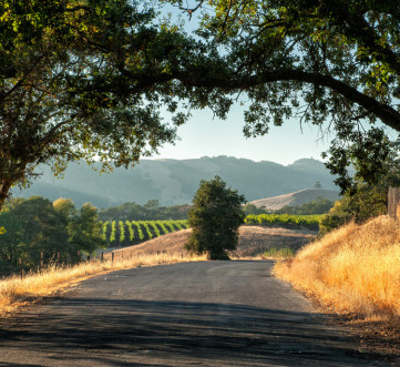 The Ultimate Northern California Experience