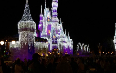 magic kingdoms castle at night