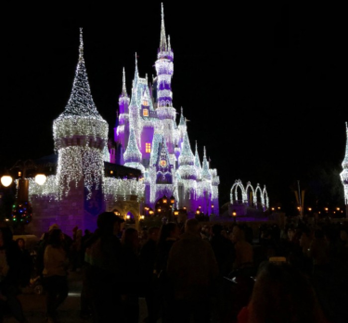 magic kingdoms castle at night