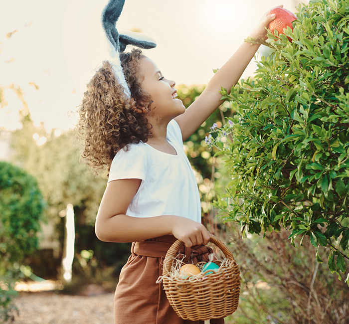 little girl with bunny ears holding a basket filled with easter eggs and reaching over a bush to grab a hidden one