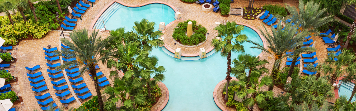 a pool ariel shot with blue lounge chairs and palm trees