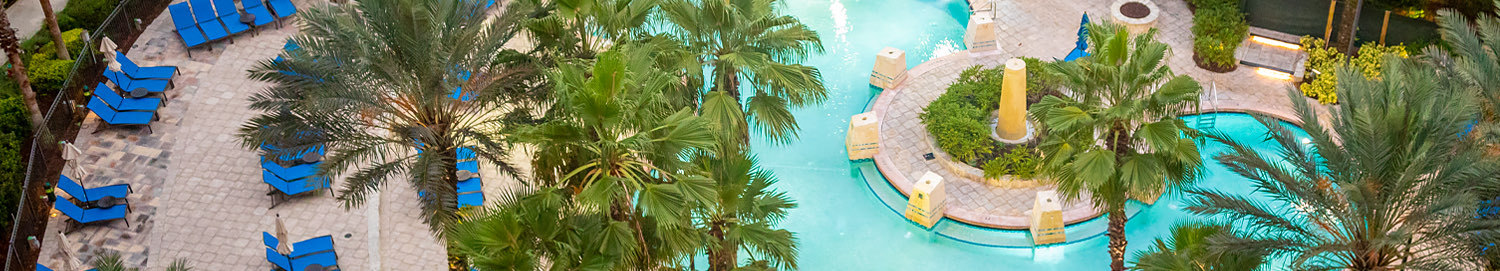 overhead shot of the pool with palm trees and blue lounge chairs