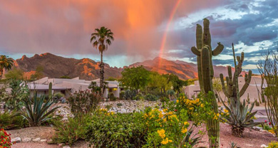 Arizona WestwardLook