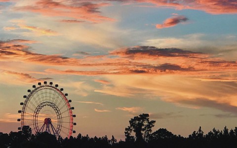 view of the orlando eye ferris wheel as the sun is setting