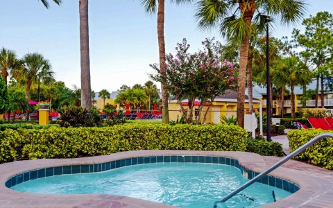 pool area surrounded by tall palm trees