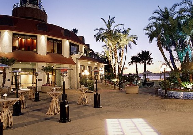 Patio area at dusk with palm trees