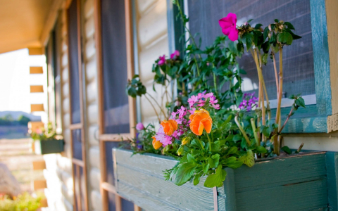 Flower bed attached to a cabin with pink and orange flowers blooming
