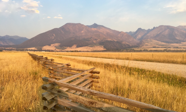 Mountains with yellow grass and wooden fence