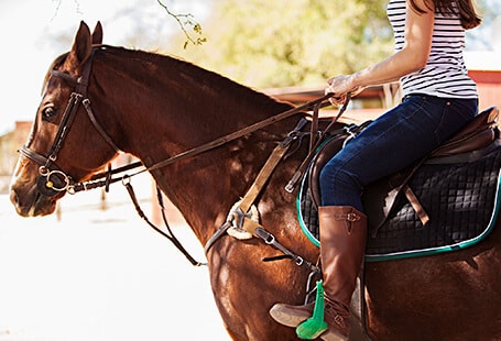 YO Ranch Riding Horses
