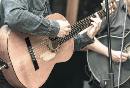 Concerts in the Park Inset