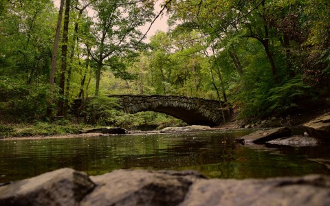 view of the creek at rock creek park