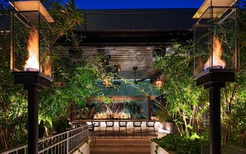 Zanzibar Rooftop Terrace lush plant and entrance at night