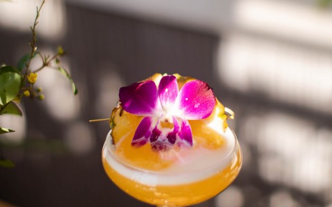 delicious yellow fruity cocktail topped with hibiscus flower 