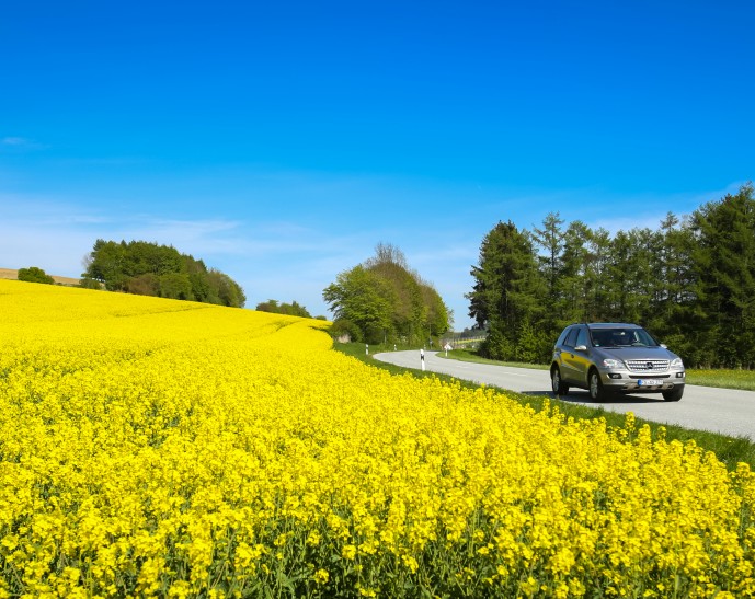 00_pollen season protection for your vehicle_se