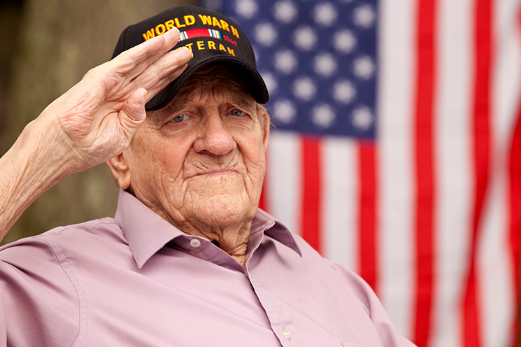 zips zipcares gracevets